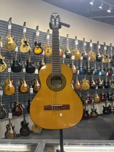 Store Special Product - Epiphone - EAPC3ANCH